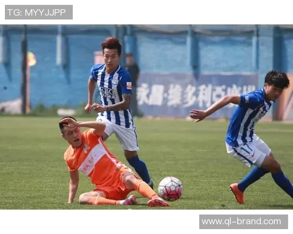 山东鲁能与广州富力精彩对决在线视频直播全程回顾与分析